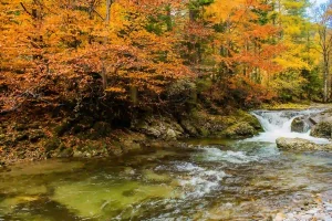 RV Camping Near Ohiopyle State Park