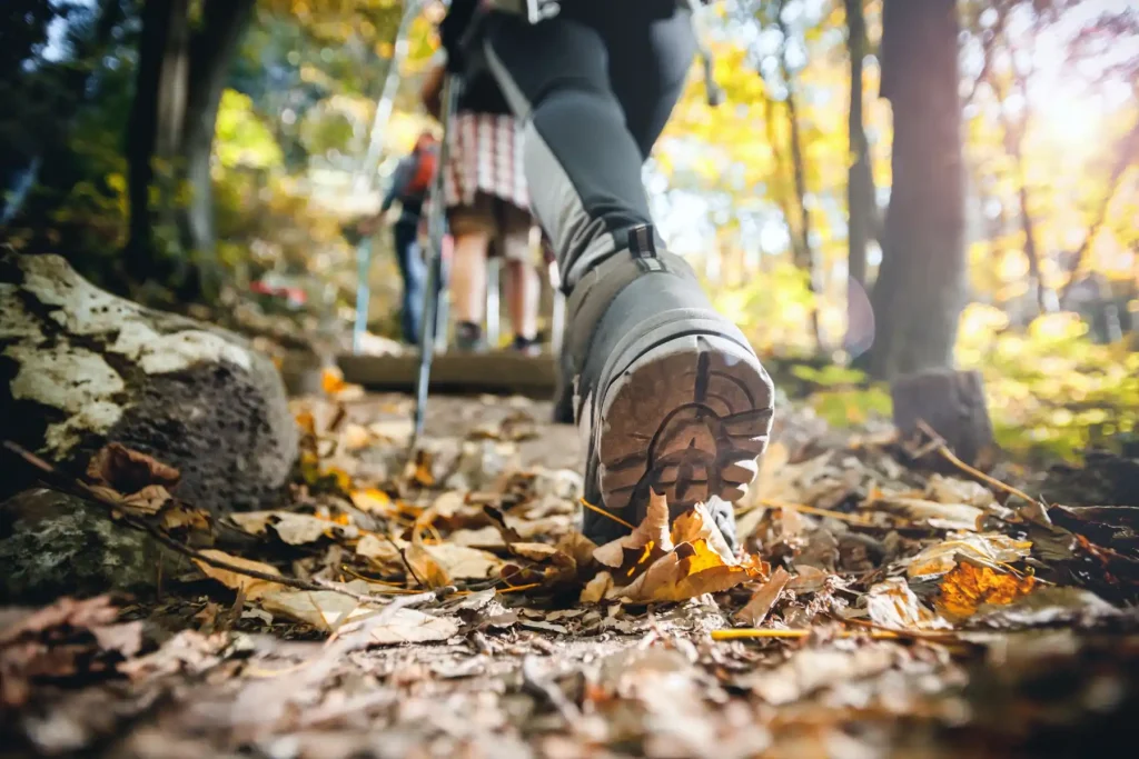Best hiking trails
