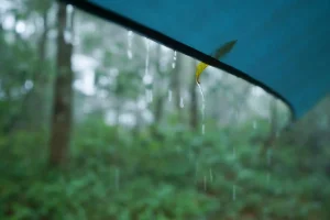 Rainy day activities near Pittsburgh