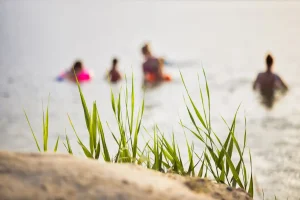 Swimming Spots near Pittsburgh